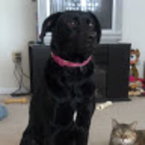 Meet your Posher, Bobbie jo